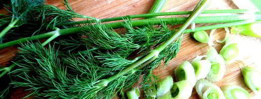 маринованные роллы из молодых кабачков. Шаг 4