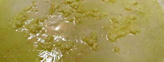 роллы из баклажанов со спагетти. Шаг 4