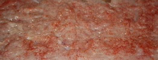 рулет из индейки. Шаг 5