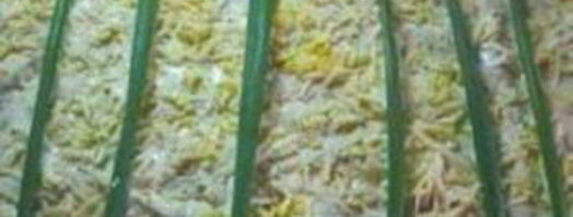 рулет из лаваша с сыром. Шаг 4