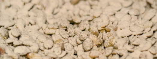 тыквенный рулет с карамелизированными тыквенными семечками. Шаг 17