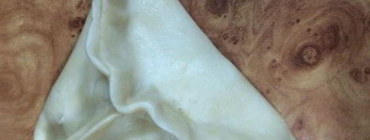 самса с курицей. Шаг 6