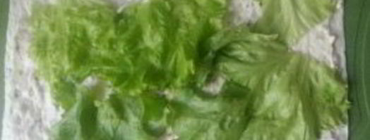 шаурма по-домашнему с мясом. Шаг 12