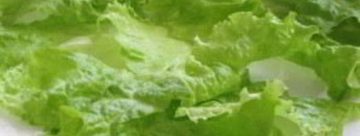 шаурма по-домашнему с мясом. Шаг 8