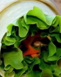 Шаурма с сыром