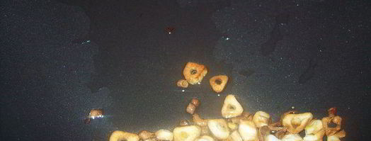 чесночно-лимонные сухарики для салатов. Шаг 3