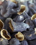 Сушеные баклажаны в электросушилке