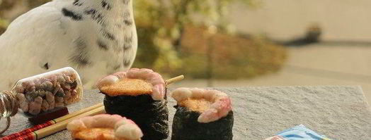 суши, запеченные со спайси соусом с крабовыми палочками. Шаг 13