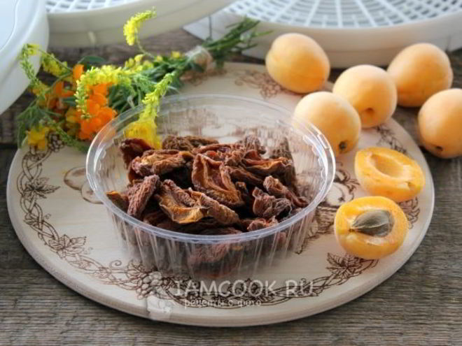 Рецепт сушки абрикосов в электросушилке