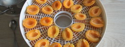 сушка абрикосов в электросушилке. Шаг 9