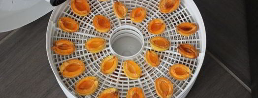 сушка абрикосов в электросушилке. Шаг 11