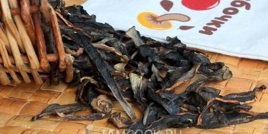 Сушка грибов в сушилке