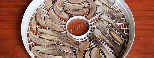 сушка грибов в сушилке. Шаг 7