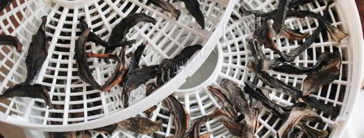 сушка грибов в сушилке. Шаг 9