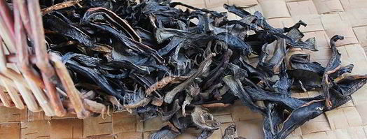 сушка грибов в сушилке. Шаг 11