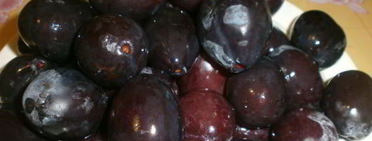 сушка слив в электросушилке. Шаг 3