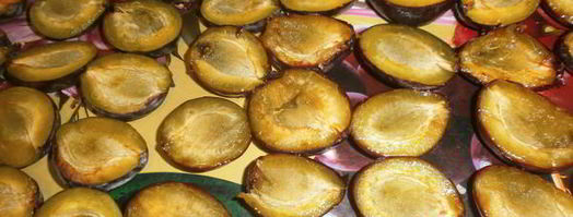 сушка слив в электросушилке. Шаг 4