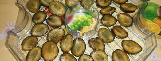 сушка слив в электросушилке. Шаг 5