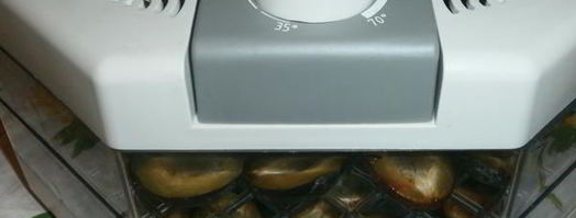 сушка слив в электросушилке. Шаг 7