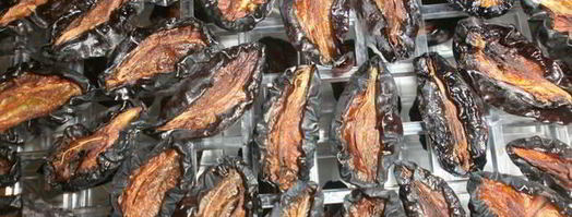 сушка слив в электросушилке. Шаг 9