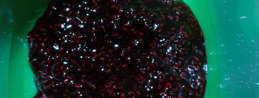 мини-сэндвичи с малиновым конфитюром. Шаг 3