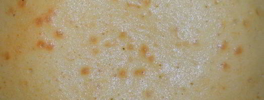 сэндвич виктория с клубничным джемом и сливочным кремом. Шаг 9