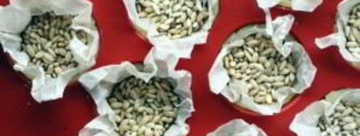 тарталетки с морковью сладкие. Шаг 4