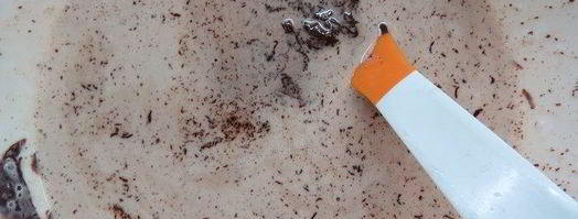 шоколадно-каштановый тарт. Шаг 19