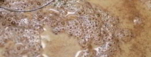 французские тосты. Шаг 3