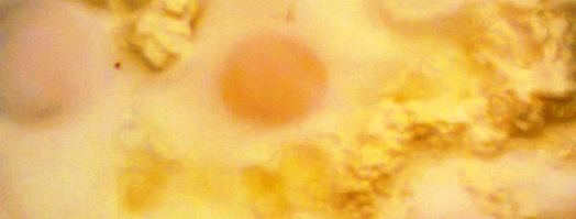 глазунья с творогом. Шаг 5