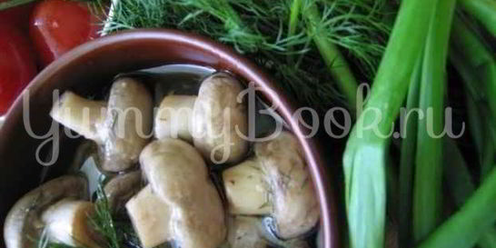 Закуска из грибов