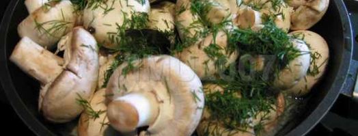 закуска из грибов. Шаг 17