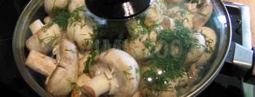 закуска из грибов. Шаг 18