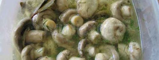 закуска из грибов. Шаг 22