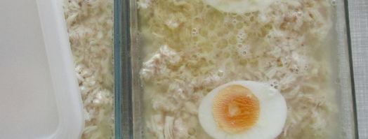 заливное из курицы. Шаг 10