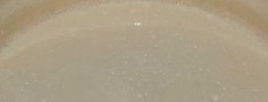 заливное из рыбы трески. Шаг 5