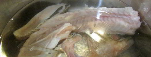 заливное из судака и креветок. Шаг 6