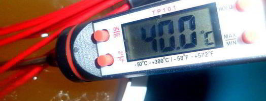 заливное новогодний петушок. Шаг 4