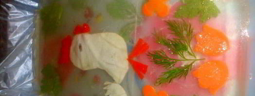 заливное новогодний петушок. Шаг 9