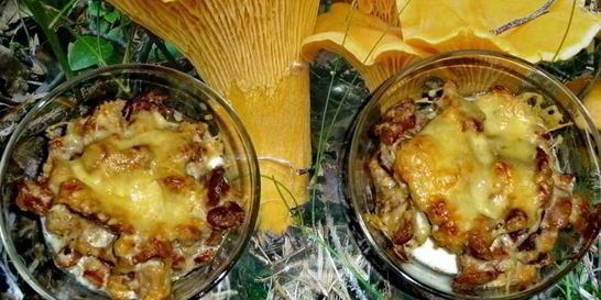 Жульен из лисичек